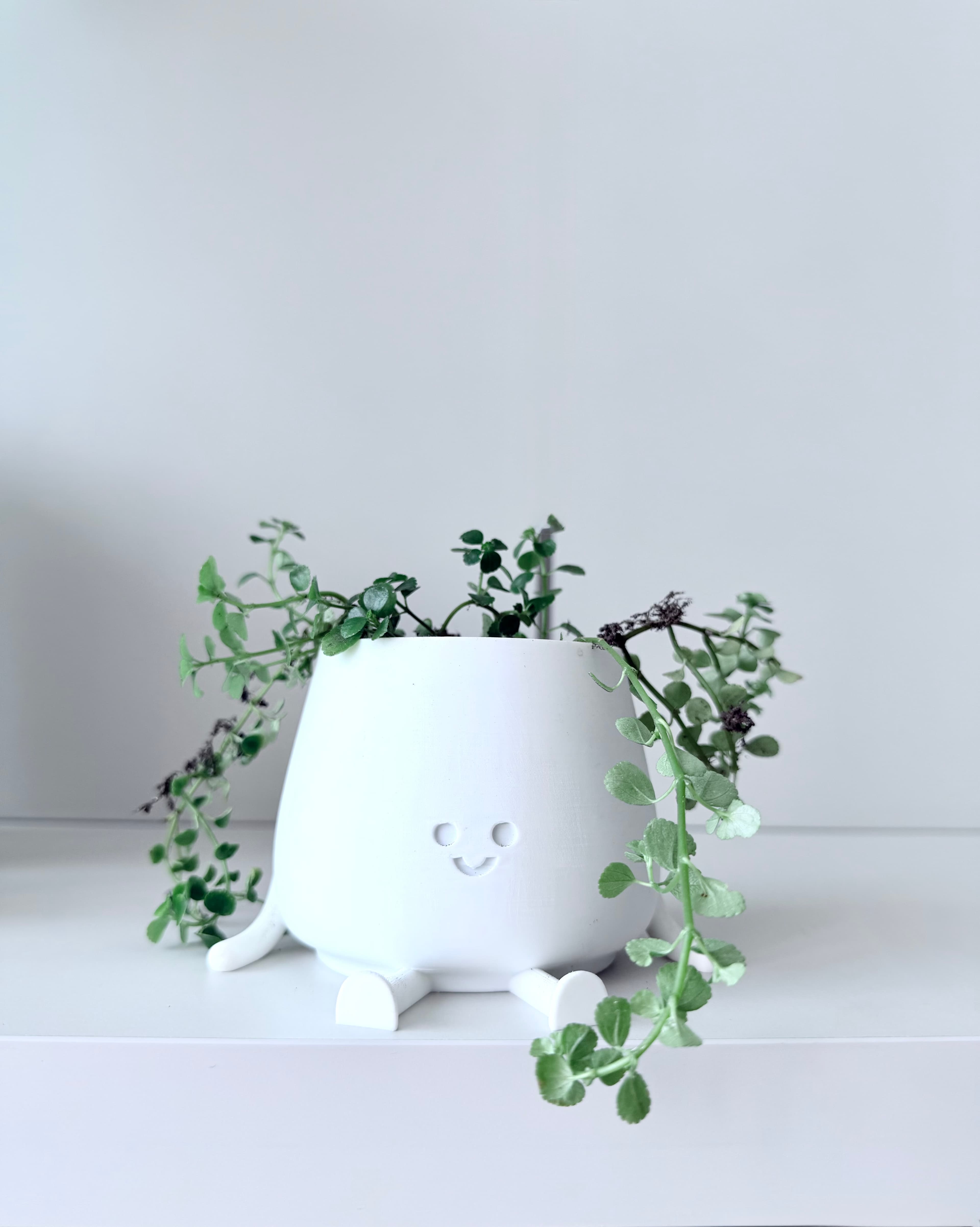 Mimo Pot